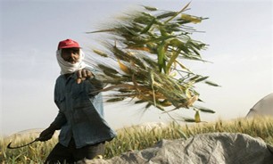 از  "کوتومه خسی" تا "نهنگ توی تُنگ"