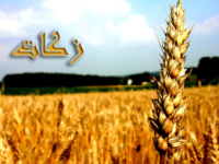 نقش  بسزایی روحانيت  در  امرجمع آوري زكات