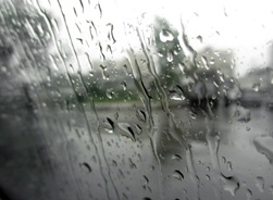 باران و خنکای دمای تابستانی در گیلان