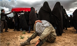 زائری که شهید پیدا کرد و مسافر کربلا شد