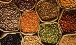 افزایش 87 درصدی واردات غلات