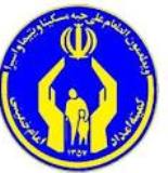 بازدید مديرکل مناطق محروم کميته امداد کشور از ساکنان مناطق محروم کوهدشت
