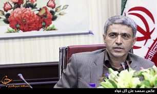 عدم اتکا دولت به منابع بانک مرکزی/تسعیر ارز راهکار تسویه بدهی همه وارکنندگان نیست/ فاصله با سطح تولید سال 90