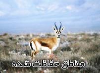 رشد 7 و 4 درصدی جمعیت دو گونه شاخص حیات وحش در استان چهارمحال و بختیاری