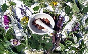 با این پماد گیاهی دیگر نگران درد های مفصلی نباشید
