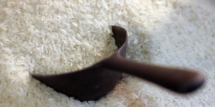 پرداخت بهای برنج خریداری شده از شالیکاران گیلان