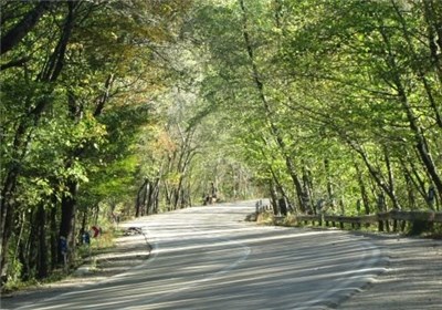 بهسازی محور جنگل گلستان به خراسان‌شمالی آغاز شد