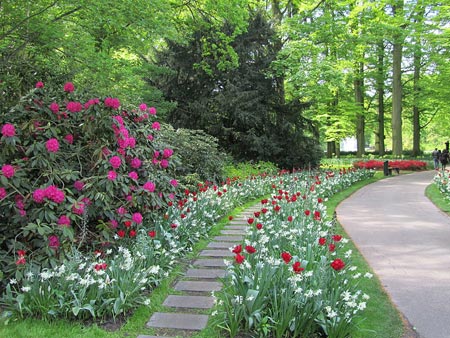 دیدنی ترین پارک هلند + تصاویر