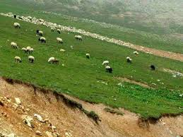 خشکسالی سمنان را تهدید می کند