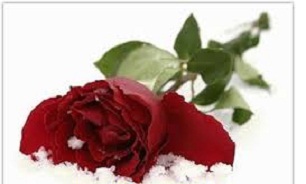 راهنمای عاشقانه زندگی کردن کنار یکدیگر