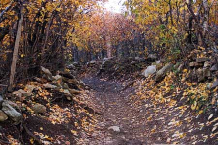 جذابیت خاص روستای آهار در فصل پاییز + تصاویر