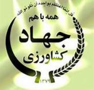 کشت پائیزه گندم و جو در سیاهکل