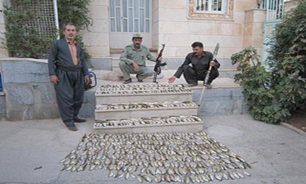کشف وضبط 555 قطعه ماهی ازصیادان غیرمجاز شهرستان جوانرود/ صدور پروانه یک ماهه صید ماهی با پرداخت مبلغ 5 هزار تومان