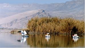 دو فروچاله دیگر در دریاچه ارژن ایجاد شد/ فروچاله ها آب دریاچه را می بلعند
