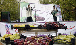 « یاقوت ناغان » نخستین جشنواره انگور در استان چهارمحال و بختیاری