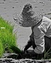 رنگ و طعم غذای حلال و حرام چگونه است؟