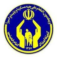 یافتن پدر پس از گذشت نیم قرن