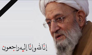 قطره‌ای از اقیانوس زندگی یار دیرین انقلاب + فیلم