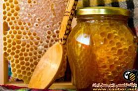 برداشت بیش از 130 تن عسل بهاره در نیشابور