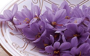 طلای قرمز برای درمان ام اس