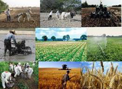 کارگاه استفاده ازآبهای نامتعارف در کشاورزی و تغذیه گندم برگزارشد