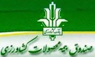 پرداخت تسهیلات بانکی به بیمه‌کنندگان محصولات گندم و جو در کاشمر