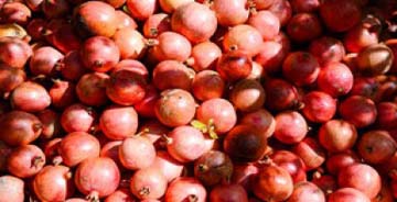 چند خاصیت مهم انار
