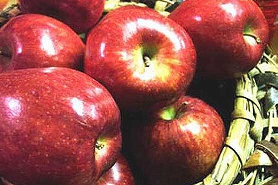 سیب کهگیلویه و بویراحمد به کشورهای حوزه خلیج فارس صادر شد