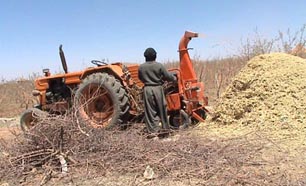 هرس باغات چهارمحال و بختیاری با دستگاه سر شاخه خرد کن
