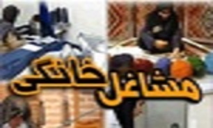 اختصاص 147میلیارد ریال اعتبار به بخش مشاغل خانگی در سال جاری
