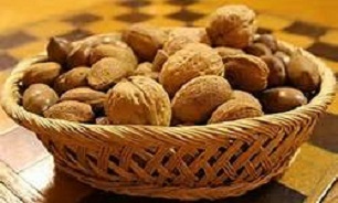 منیزیم بیشتر از کلسیم برای استخوان ها مهم است