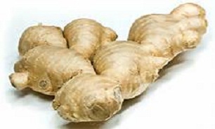 گیاهی با خاصیت ضد درد!