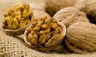 آقایان، به این دلیل مهم هر روز چند عدد گردو بخورید!