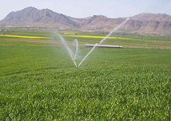 کمک دولت برای اجرای طرح های آبیاری در عنبر آباد