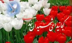 شهدا جلوه ای از تفسیر آیات الهی برای جهانیان