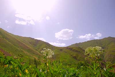 طبیعت زیبا و شگفت انگیز در روستای آب نیک + تصاویر