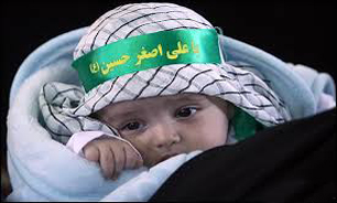 شش‌ماهه به میدان آمد