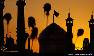 نقش خانواده امام(ع) در بعد از فاجعه کربلا در نهضت کربلا بسیار موثر بود
