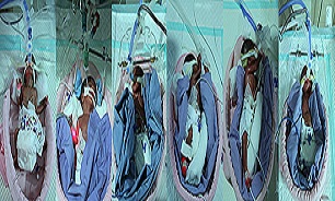 تولد هفت قلوها در مشهد + عکس