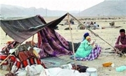 عشایر اردبیل در تولید محصولات لبنی رتبه سوم کشور را دارد