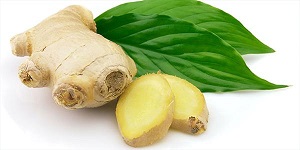 فواید معجزه آسای زنجبیل برای بدن