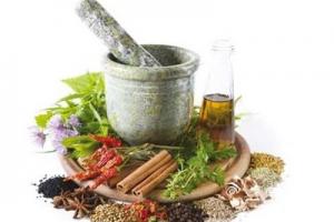 گیاه رزماری؛ معجزه طبیعت در تسکین اعصاب