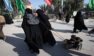 کالسکه در پیاده روی اربعین + عکس