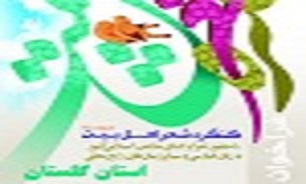 کسب  رتبه های برتر شاعران کردستانی در کنگره ملی شعر اهل بیت (ع)