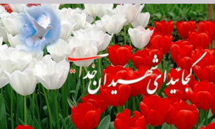پدر شهیدان محمدی به پسرانش پیوست