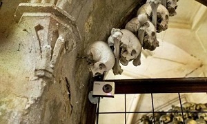 نقش شیطان در یک کهنه انجیل +تصویر