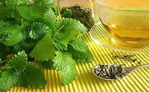 گیاهی برای درمان دلپیچه شدید