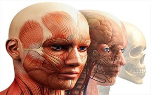 صورت چه واقعیت هایی را فاش می کند؟