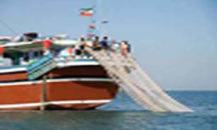 کف زیان سیریک در راه بازار
