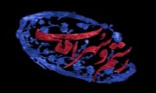 "رستم و سهراب" نماینده انیمیشنی ایران روی پرده سینمایی جهان + فیلم